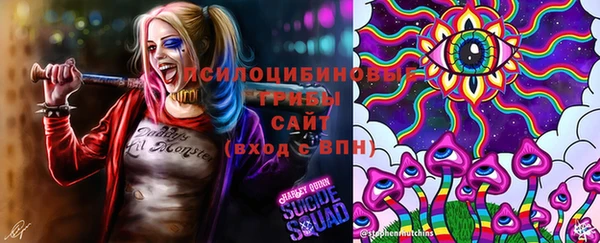 не бодяженный Алексин