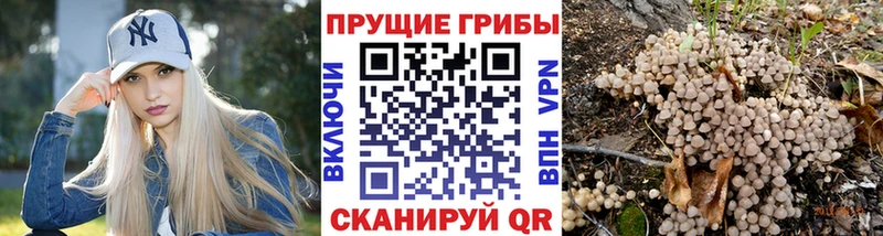 Псилоцибиновые грибы Magic Shrooms  Котлас 