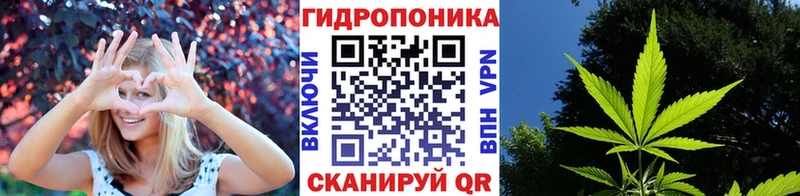 купить наркоту Котлас мориарти состав Шишки марихуана Amnesia